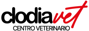 Logo di Clodia Vet - Centro Veterinario a Chioggia